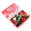 New cat Toy Christmas toy set of 16 sets of a number of cute mouse bell ball spot cross-border