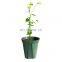Reusable Best High Quality Indoor 16 inch Extendable Plants Bendable Plastic Moss Pole