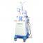 2022 Factory supply Slimming Machine fast Slimming Cryolipolisis Machine Hot Sale Effective Cryo Fat Freezing Cellulite