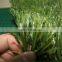 Top sale 40mm japanese grass artificial grass