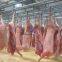 WFA factory price pork abattoir slaughter machine 50 pig per shift slaughterhouse equipment
