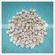 Full automatic  tapioca pearl machine  commercial taro ball sago boba tapioca pearl mold machine for milk tea