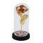 Led Galaxy 24k Gold Eternal Rose Light Up Rose Flower Gift Glass Dome Flower Lamp For Home Christmas Decorative Holiday Lighting