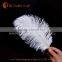 wholesale cheap ostrich feather for wedding decoration centerpiece