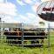 cattle paddock and horse fence