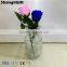 800ml Clear Glass Vase Classic Glassware
