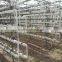 12M Wide Span Greenhouse