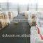 Hot Product k32 Non Dairy Creamer