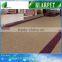 New style hot sell 2015 rug tile