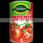 Tomato Paste canned ketchup