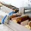 Automatic Cartoning Machine, Cartoning Machine for Bottle, Bottles Cartoning Machine