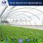 Good warm-keeping ability tunnel Polyethylene/PE/PVC greenhouse