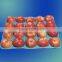 small paper pulp fruit tray