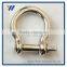 High quality screw pin anchor shackle
