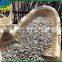 New crop Chinese sunflower seed kernel for export