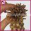 100 keratin tip human hair extension wholesale factory price i tip hair extensions wholesale flat tip hair