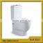 1741 Ceramic Bathroom Design Toilet
