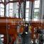 Globe control valve