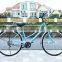 Man and women style city steel bicycle Road bicycle wholesale