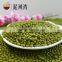 Sprouting Green Mung Bean and sale 2016 crop with high quality