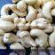 VISIMEX HIGH QUALITY CASHEW NUT