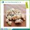 Frankincense Olibanum High Quality