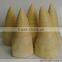 Canned bamboo shoot whole canned food canned vegetable