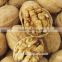 Mayifang High quality Walnuts Light Halves Walnut meat,raw walnut Kernel