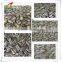 provide black watermelon seeds hot sale new crop