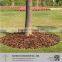 Best quality red color pine bark