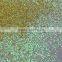 wholesale bright in color hot selling PET glitter for ink