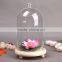 Clear Globe Glass Vase Glass Cover Landscape Bottle Wood Stand