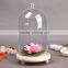 Clear globe glass Vase glass cover Landscape bottle wood stand