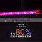 GROW LIGHT