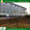 Eco-friendly vegetables agricultural glass greenhouse watering system