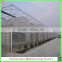 China supplier multi-span agricultural plastic film greenhouse for sale