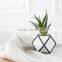 Gardening gift Cuboctahedron Cactus planter Geometric glass terrarium