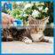 Paw Print Pet Product Hot Sale Grooming Brush