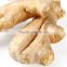 Wholesale Chinese dried ginger
