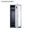 2 Doors File Cabinet/Modern Swing Door File cabinet/metal storage locker