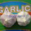New Crop Garlic