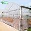 Multispan Plastic Film Greenhouse With Intelligent Control System For Sale