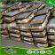 100% New HDPE/Polyester waterproof Rectangle Shade Sail 10*15', 13*10', 20*16