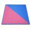 39in x 39in 20mm EVA Triangle Gym Judo Tatami Mat Mattress