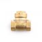 BT5007 High pressure hydraulic brass check valve with low cost