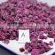 IQF Frozen Purple Sweet Potato Dice