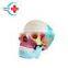 HC-S206 Artificial life-size Natural big skull bone coloring model human skull coloring model for medical school teaching