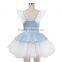 Wholesale Fairy Ballet Dance Performance Tutus Skirts for Kids