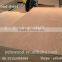 Best price for plywood sheet / Best quality plywood
