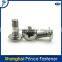 China gold manufacturer high technology fastener bolt screw